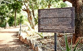 Wild Coast Tented Lodge